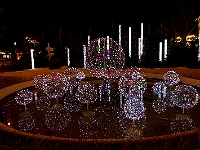 Paris 12-26-09 image 45